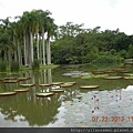 2012-7-22 西雙版納熱帶植物園47