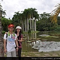 2012-7-22 西雙版納熱帶植物園48