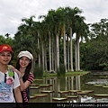 2012-7-22 西雙版納熱帶植物園49