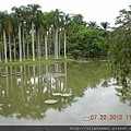 2012-7-22 西雙版納熱帶植物園57