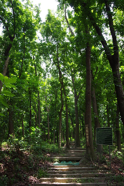 新化植物園_03