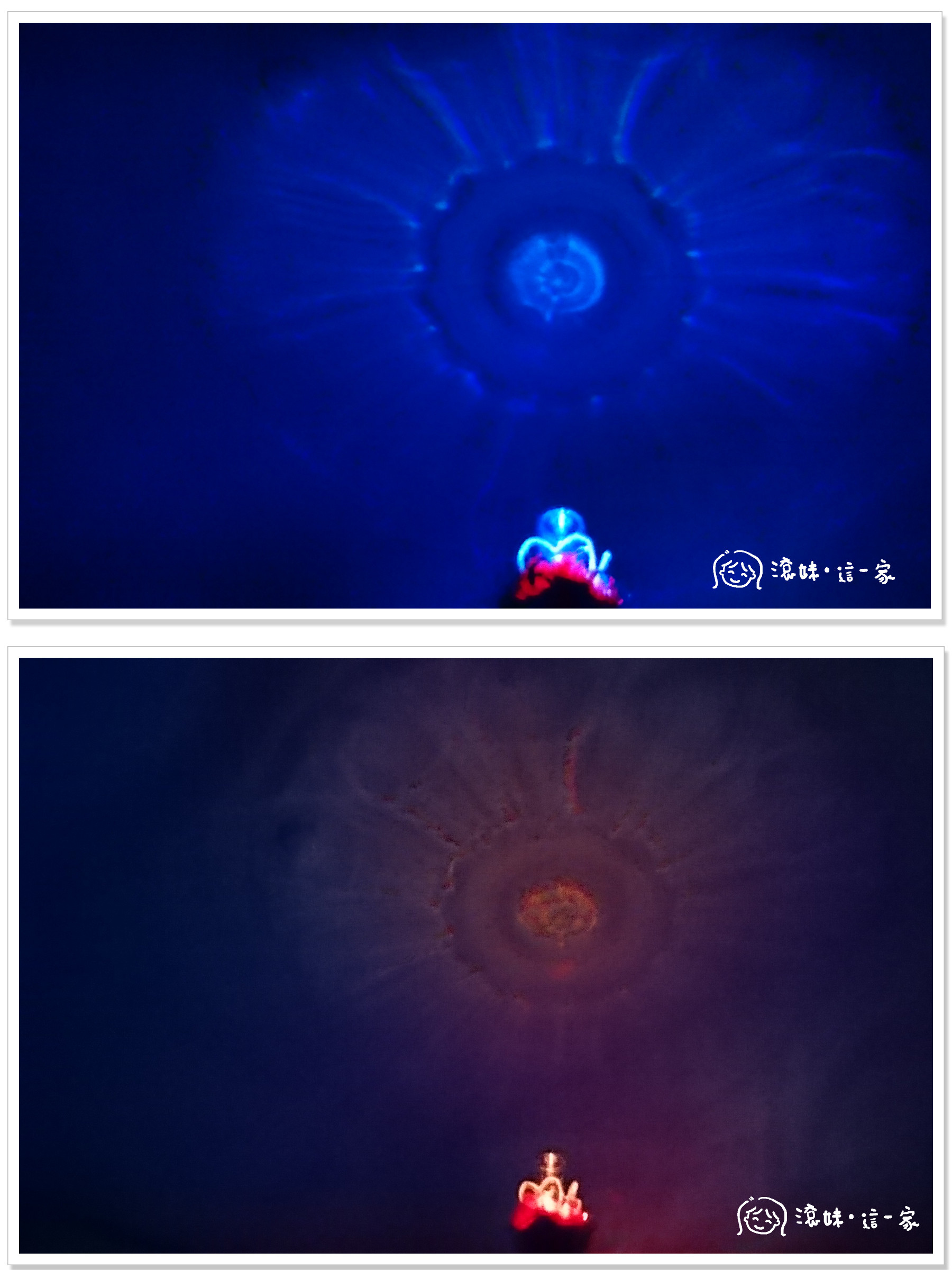 魔法杖013 魔法杖013