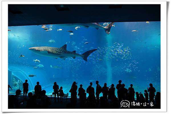 水族館023.jpg 水族館023.jpg