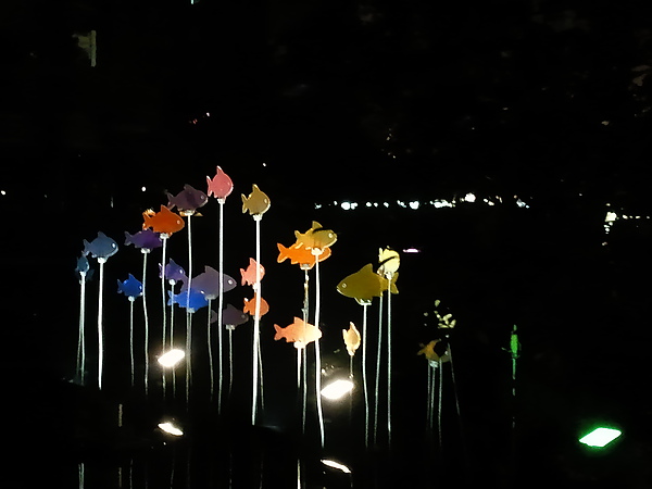 夜市裡的公園水池