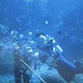 scuba diving.jpg