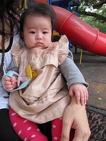 IMG_0120.jpg IMG_0120.jpg