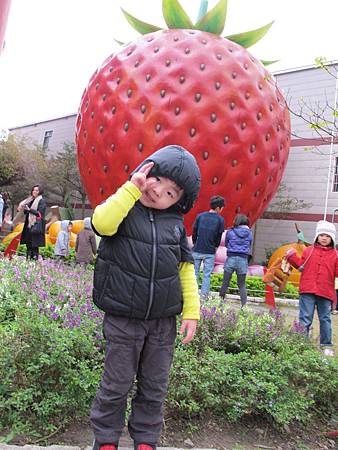 IMG_1229.JPG IMG_1229.JPG