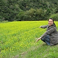 富東公路旁的油菜花