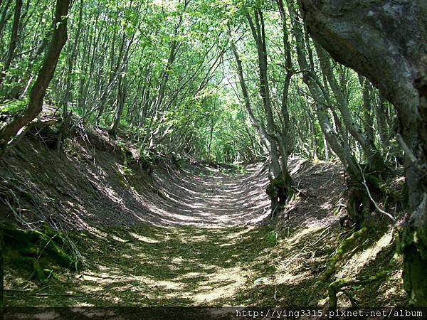 241539_138836812859049_100001981925019_255662_7059754_o