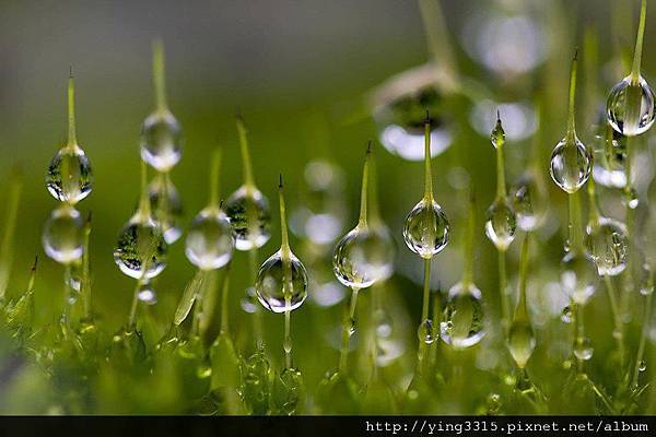 325532_186163518124181_100001916032113_461457_3833910_o (1)