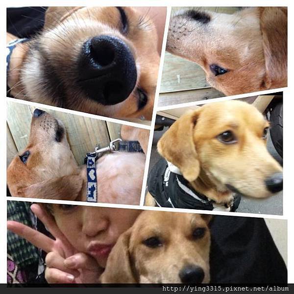 580560_569566066443595_1509980363_n