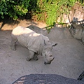 DSCN6242
