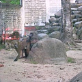 DSCN6257