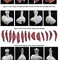 Ying-Chia Huang Publication-11 Ying-Chia Huang Publication-Relating Innovative 2D Ideas into 3D Garments, in Terms Of Structure, Using ‘Sculptural Form Giving’ as an Intermediate Step in Creation.jpg