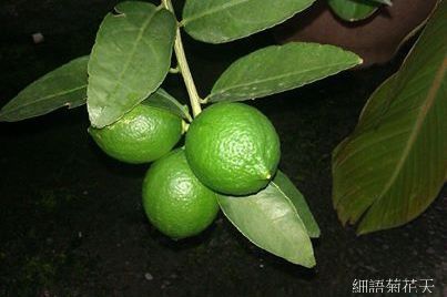 f_9820291_1.jpg