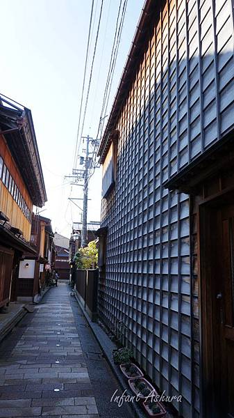 DSC01176.JPG DSC01176.JPG