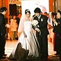 wedding-381.jpg