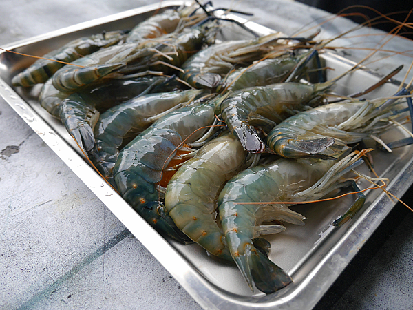 20180707_121432.png 20180707_121432.png