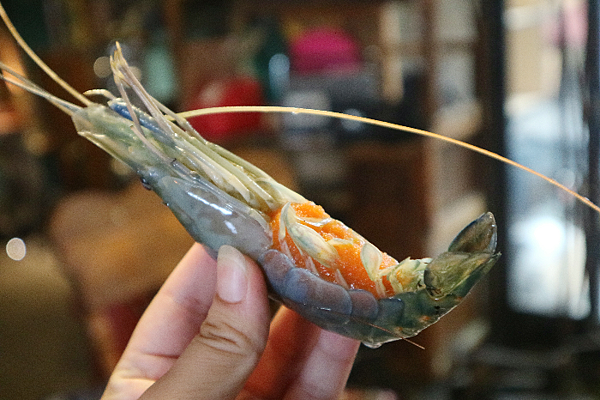 IMG_1767.png IMG_1767.png