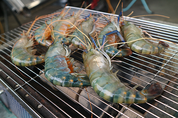 IMG_1832.png IMG_1832.png