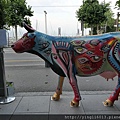 P1040201.JPG