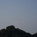 08蜜月Day1-040.jpg