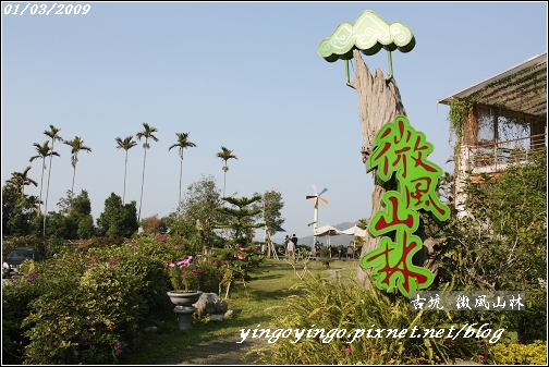 古坑微風山林980103-3755.jpg 古坑微風山林980103-3755.jpg