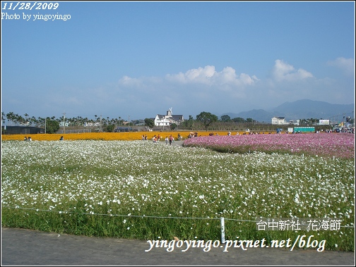 台中新社_花海節981128_00657.jpg