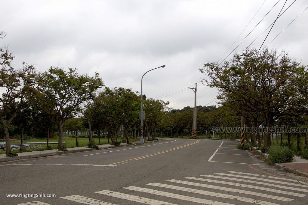 WM_RF_RF_20180306_新竹香山青青草原／大草原土丘／草原溜滑梯／生態池／相思秘境／油桐小徑016_3A5A2787.jpg