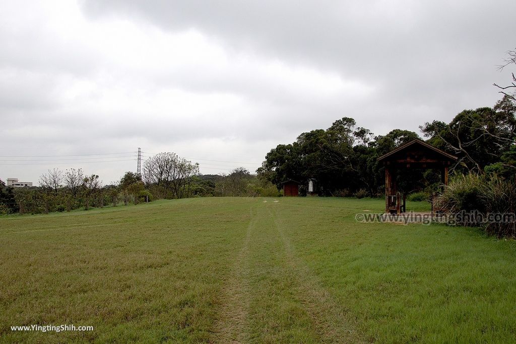 WM_RF_RF_20180306_新竹香山青青草原／大草原土丘／草原溜滑梯／生態池／相思秘境／油桐小徑097_3A5A3299.jpg