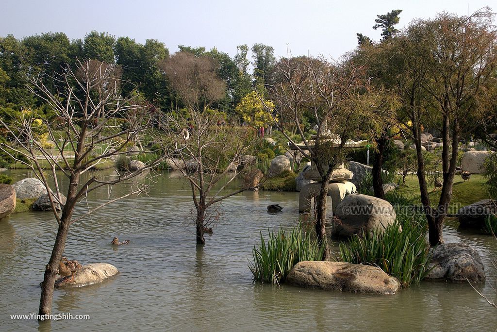 WM_RF_RF_20171224_雲林虎尾澄霖沉香味道森林館／兼六園日式禪風庭園／生態景觀池130_3A5A1319.jpg