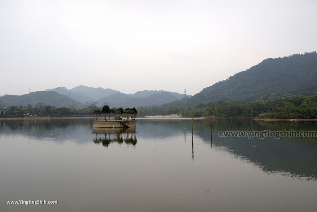 WM_RF_RF_20180401_桃園大溪頭寮大池賞鳥／水中土地公廟／大艽芎古道／大艽宮015_3A5A8311.jpg