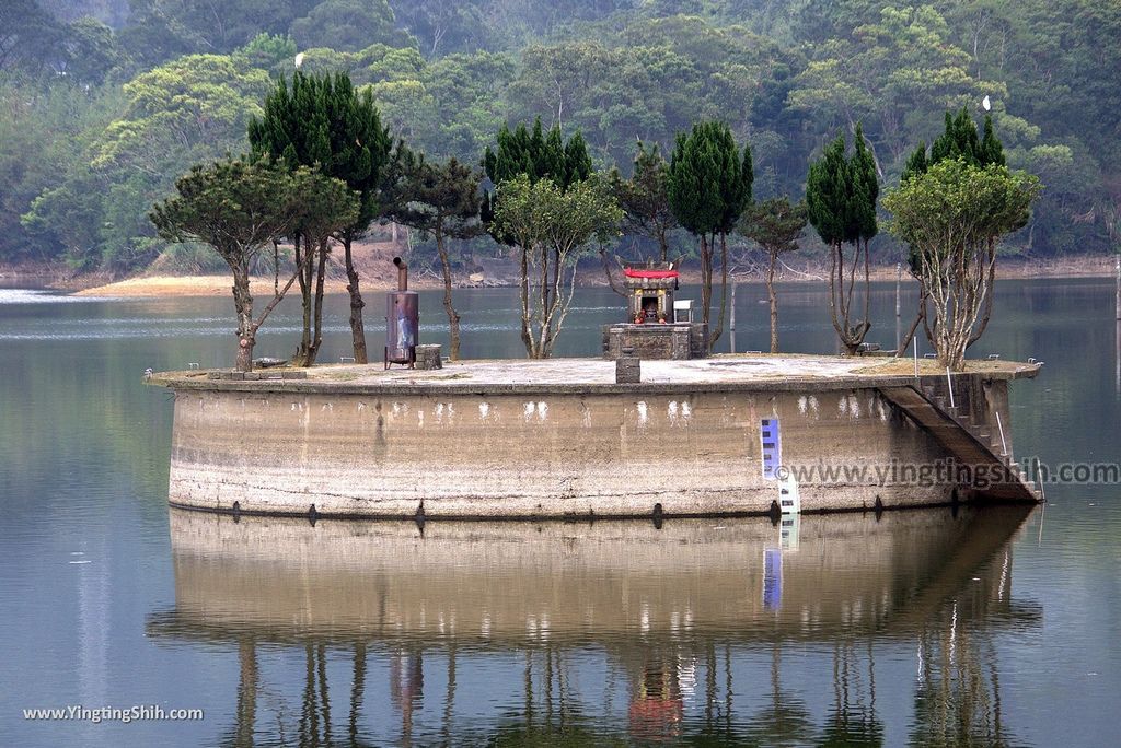 WM_RF_RF_20180401_桃園大溪頭寮大池賞鳥／水中土地公廟／大艽芎古道／大艽宮030_3A5A9288.jpg