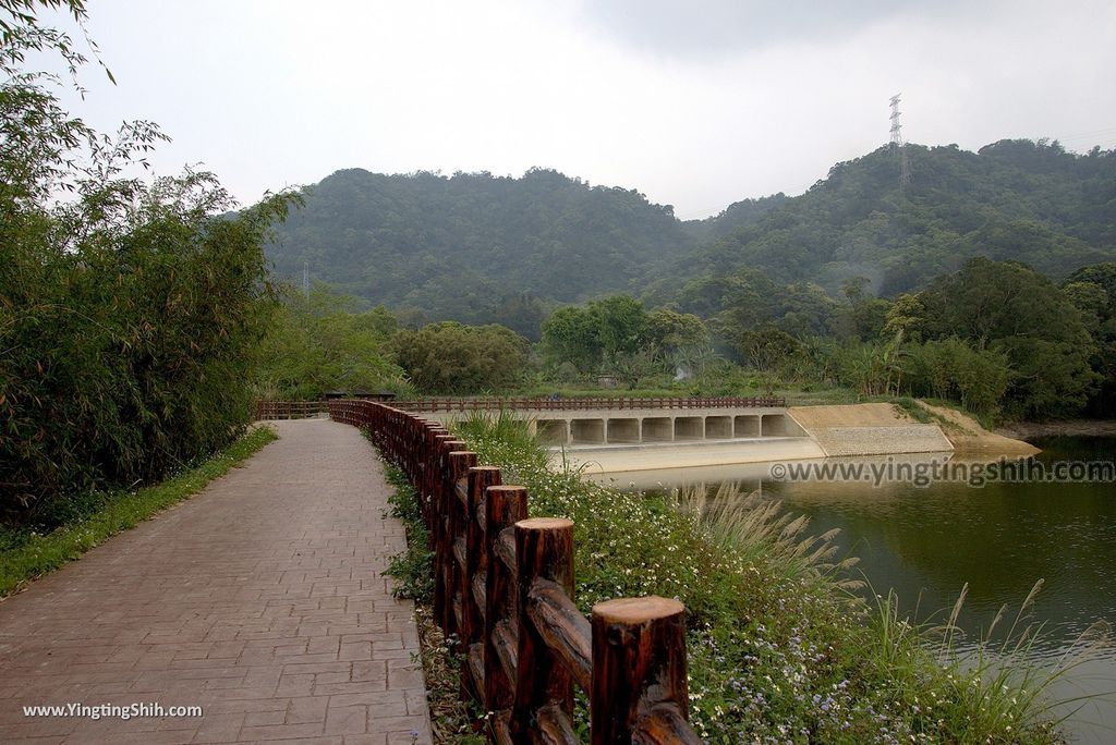 WM_RF_RF_20180401_桃園大溪頭寮大池賞鳥／水中土地公廟／大艽芎古道／大艽宮044_3A5A9189.jpg