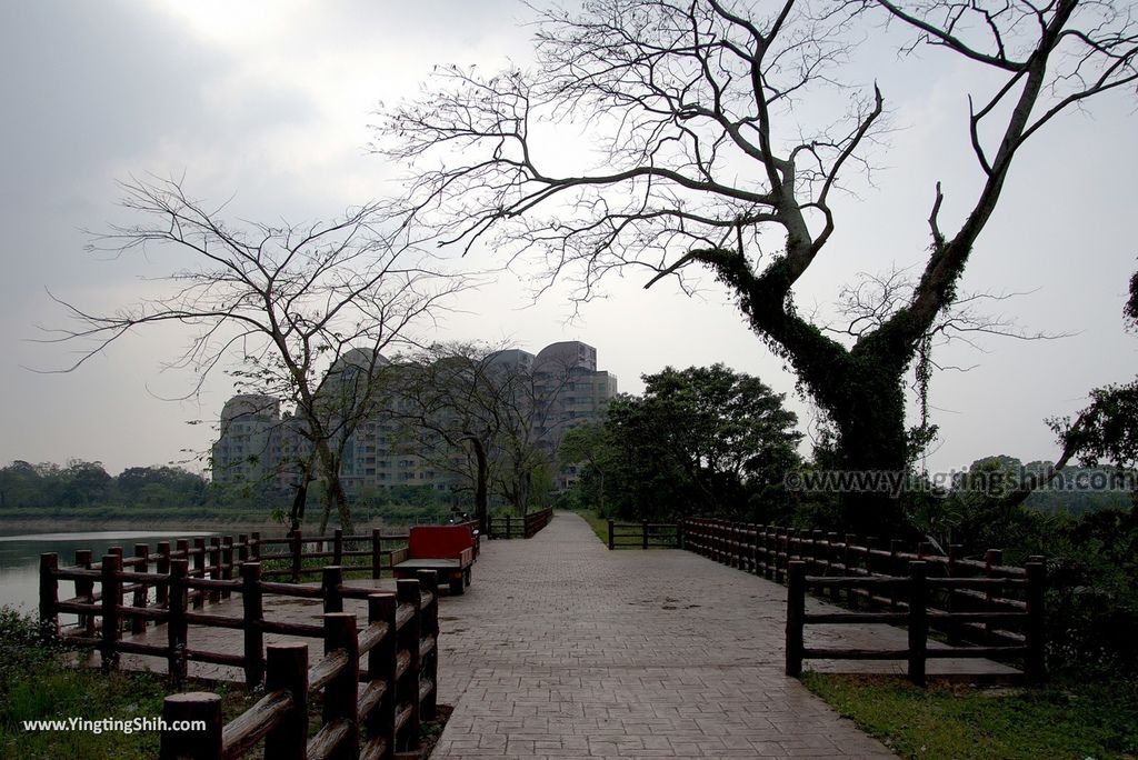 WM_RF_RF_20180401_桃園大溪頭寮大池賞鳥／水中土地公廟／大艽芎古道／大艽宮047_3A5A9278.jpg