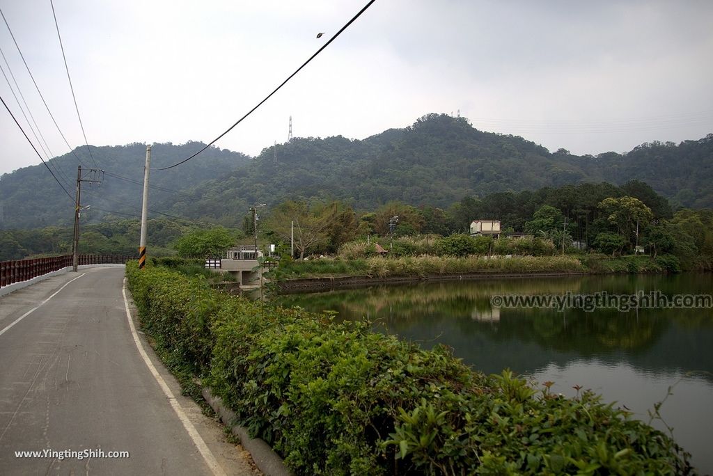 WM_RF_RF_20180401_桃園大溪頭寮大池賞鳥／水中土地公廟／大艽芎古道／大艽宮053_3A5A9397.jpg