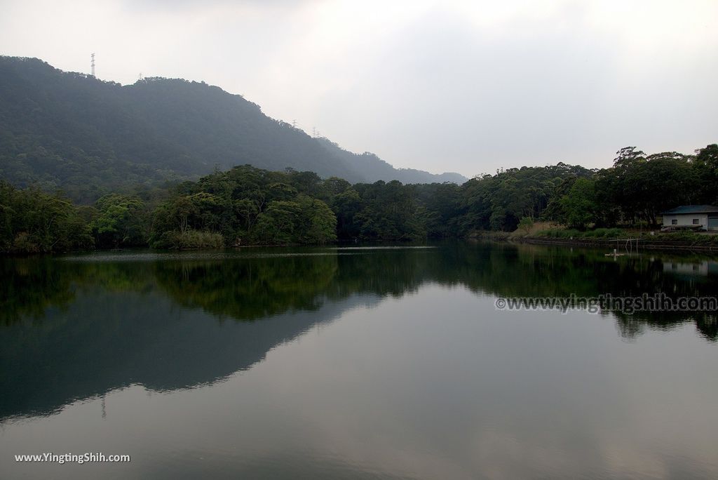 WM_RF_RF_20180401_桃園大溪頭寮大池賞鳥／水中土地公廟／大艽芎古道／大艽宮054_3A5A8047.jpg