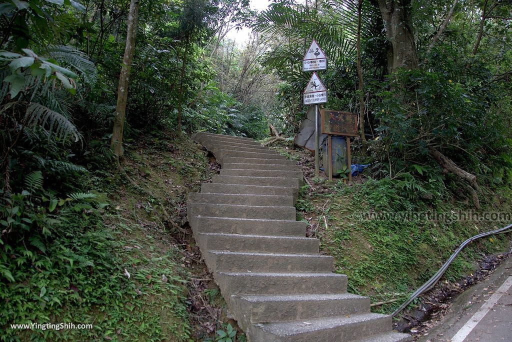 WM_RF_RF_20180401_桃園大溪頭寮大池賞鳥／水中土地公廟／大艽芎古道／大艽宮064_3A5A9459.jpg