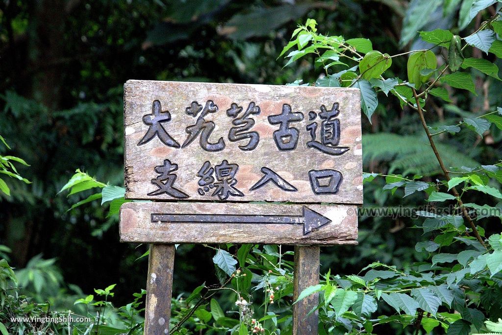 WM_RF_RF_20180401_桃園大溪頭寮大池賞鳥／水中土地公廟／大艽芎古道／大艽宮075_3A5A9529.jpg