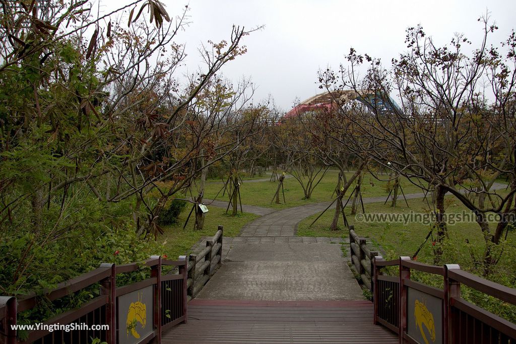 WM_RF_RF_20180227_新竹香山紅樹林公園／十七公里海岸線自行車道029_3A5A2360.jpg