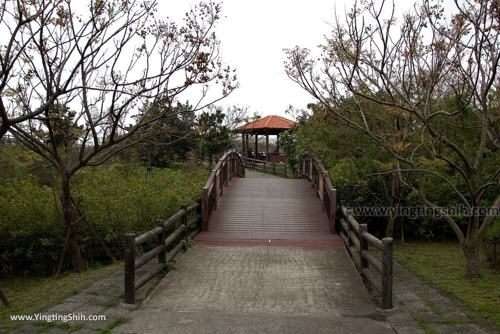 WM_RF_RF_20180227_新竹香山紅樹林公園／十七公里海岸線自行車道033_3A5A2372.jpg