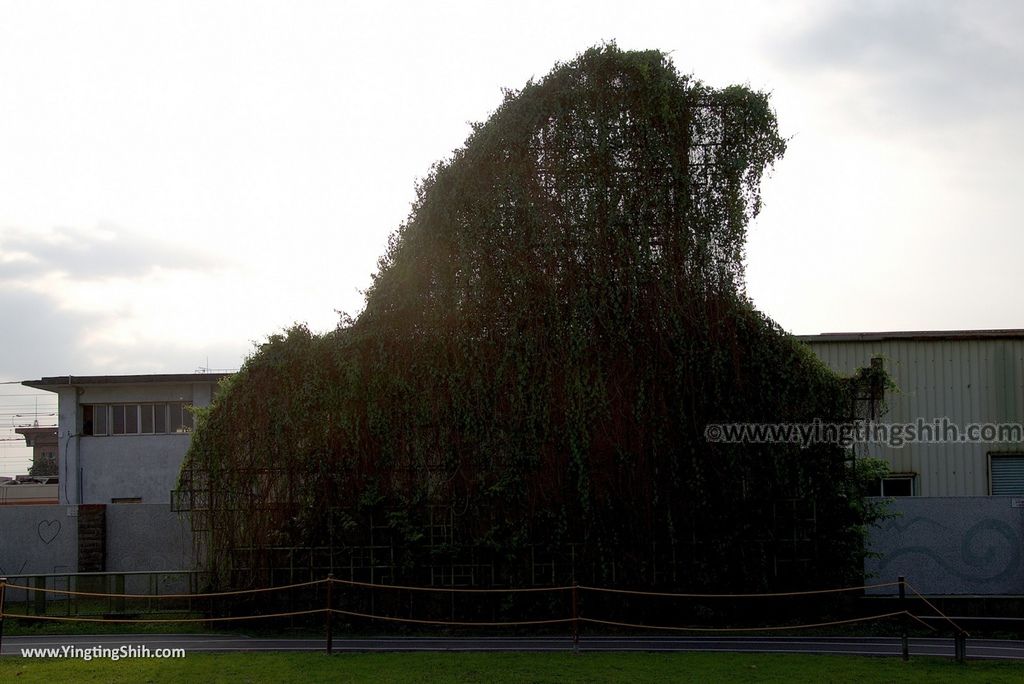 WM_RF_RF_20180324_宜蘭市區幾米公園／幾米廣場／丟丟噹森林／宜蘭火車站旅遊服務中心031_3A5A6300.jpg