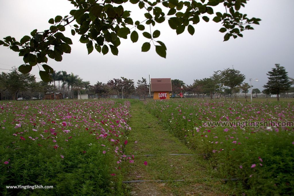 M_M_20180211_屏東新埤新埤鄉綜合休閒公園／LOVE地景／風車廣場／百年橄欖樹073_3A5A2551.jpg