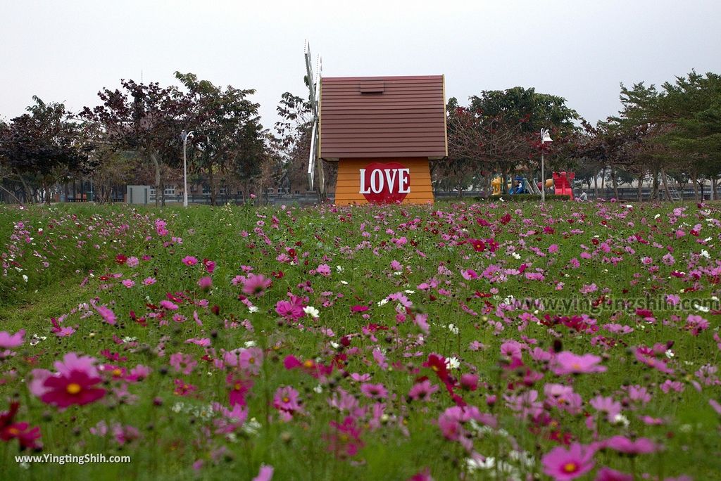 M_M_20180211_屏東新埤新埤鄉綜合休閒公園／LOVE地景／風車廣場／百年橄欖樹074_3A5A2566.jpg