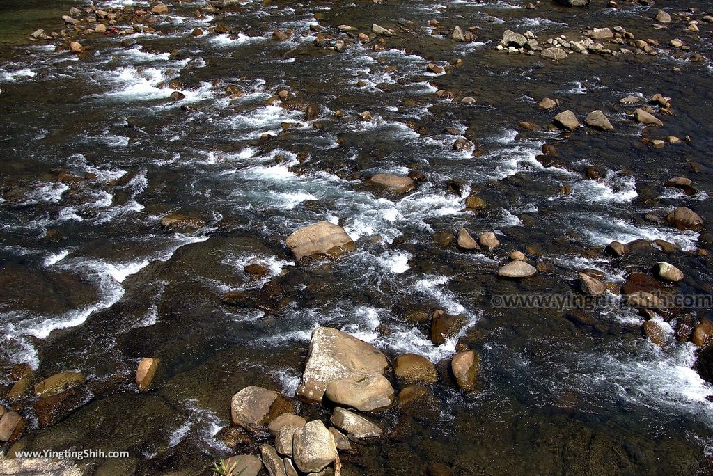 M_M_20180311_新北坪林坪林親水吊橋／坪林茶鄉牌樓／坪林親水公園023_3A5A5630.jpg