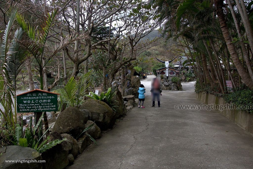 M_M_20180129_花蓮壽豐牛山風景區／牛山呼庭／夢想的平台／森林小徑／換膚海岸019_(151).jpg