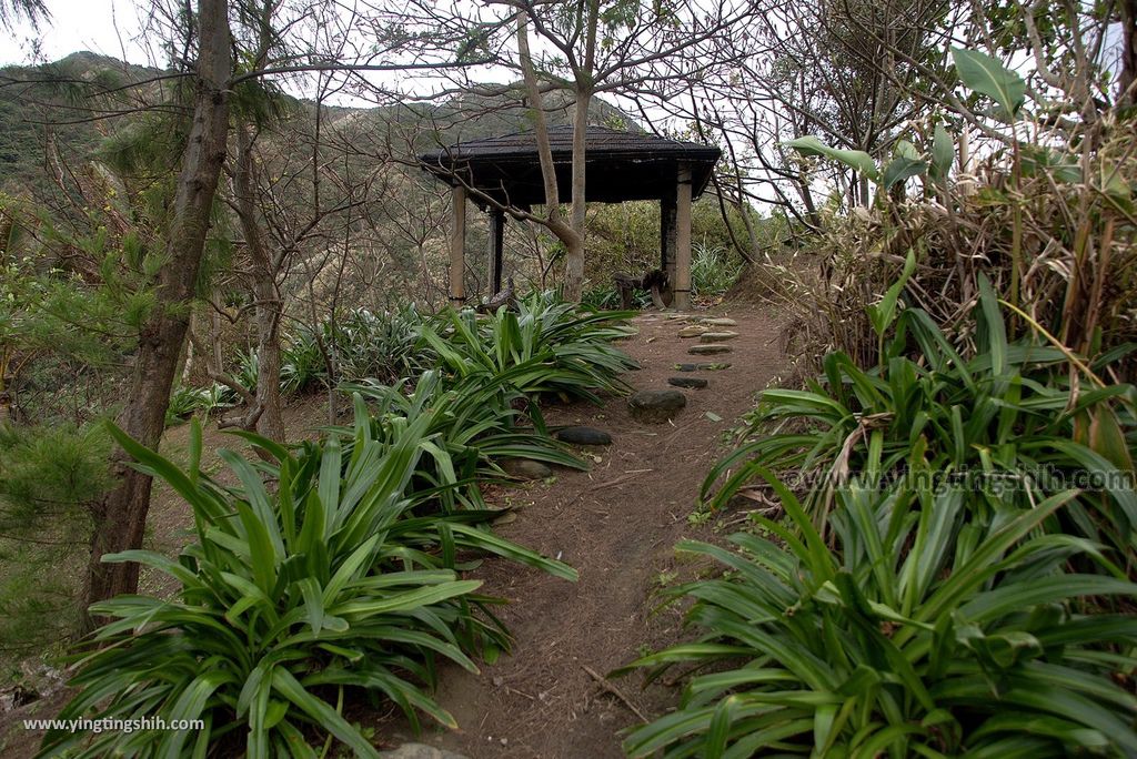 M_M_20180129_花蓮壽豐牛山風景區／牛山呼庭／夢想的平台／森林小徑／換膚海岸092_3A5A0715.jpg