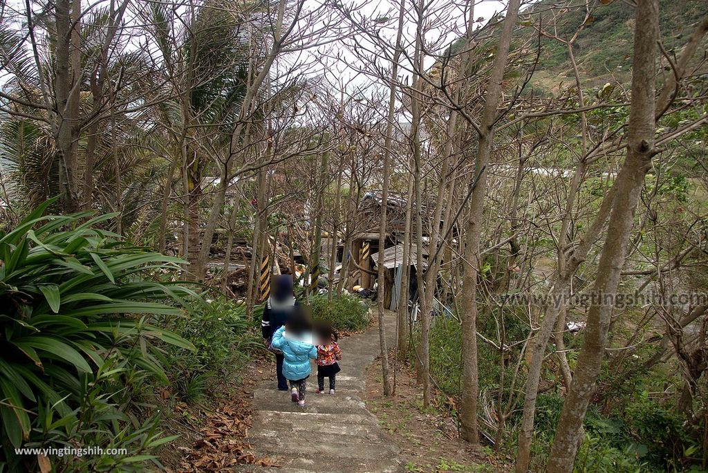 M_M_20180129_花蓮壽豐牛山風景區／牛山呼庭／夢想的平台／森林小徑／換膚海岸102_3A5A0849.jpg