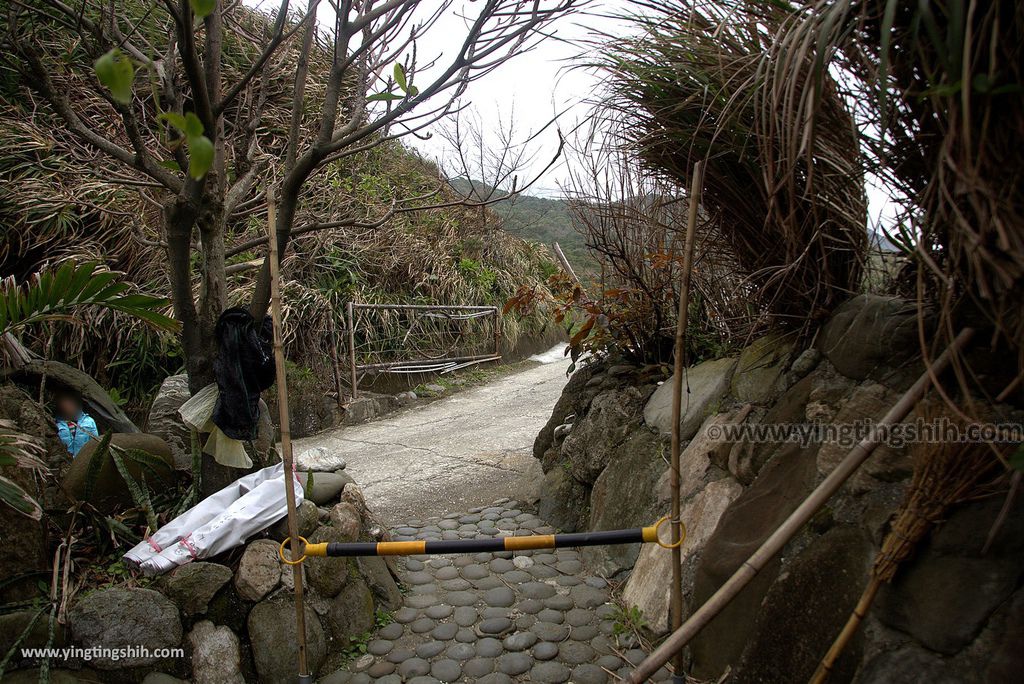 M_M_20180129_花蓮壽豐牛山風景區／牛山呼庭／夢想的平台／森林小徑／換膚海岸146_3A5A0942.jpg