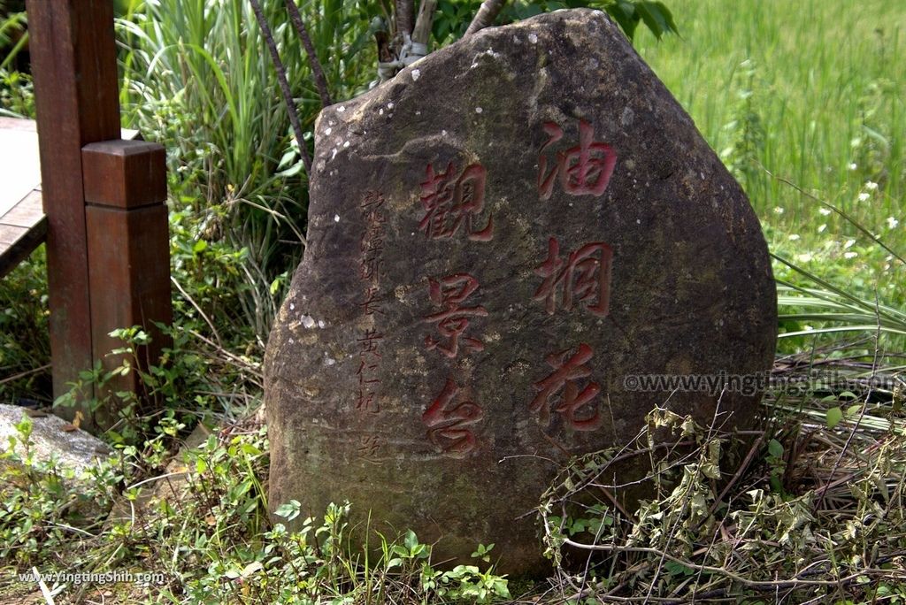 M_M_20180505_桃園龍潭小粗坑古道／桐花步道／粗坑窯／聖義宮／福德祠011_3A5A3865.jpg